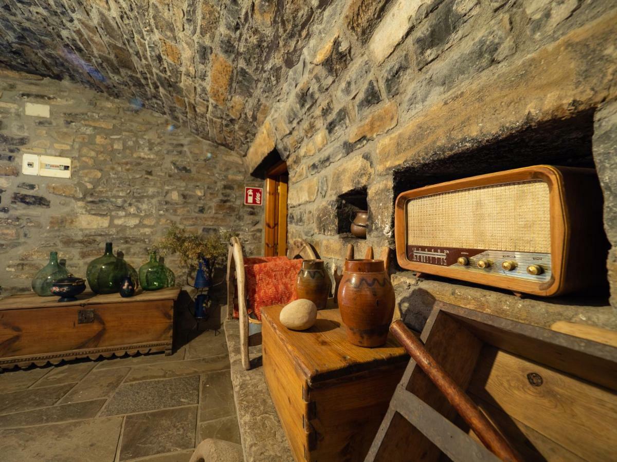 Apartamento Casa Dueso El Pueyo de Araguás エクステリア 写真