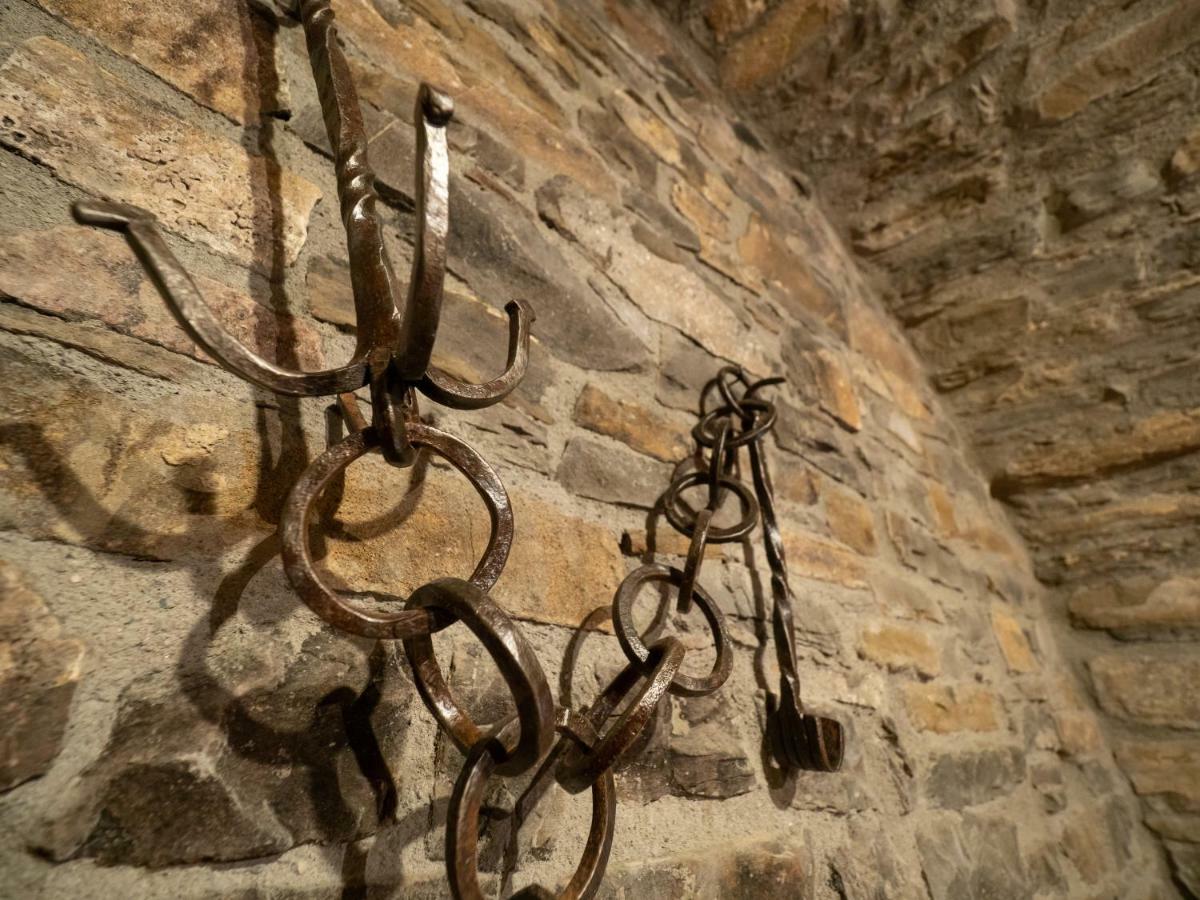 Apartamento Casa Dueso El Pueyo de Araguás エクステリア 写真